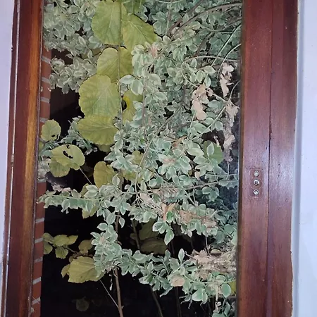 Mit Perfekter Verkehrsanbindung Apartment *