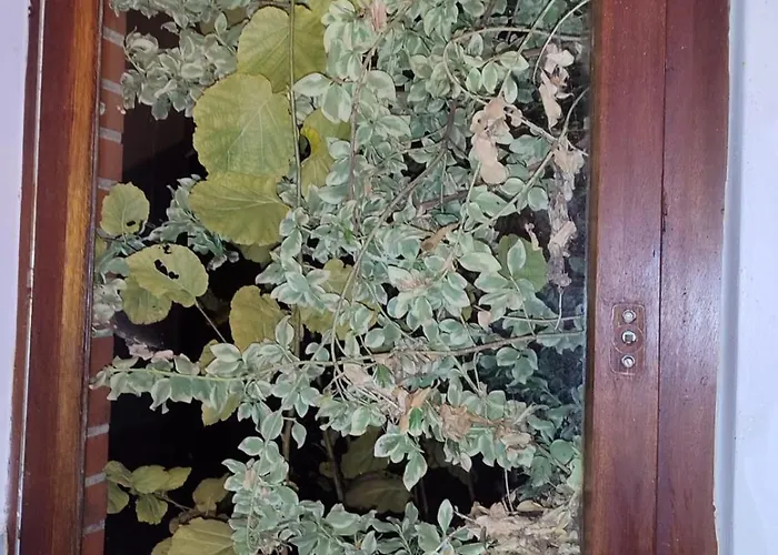 Mit Perfekter Verkehrsanbindung Apartament *